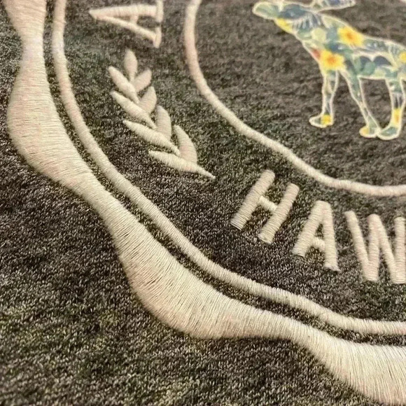 Abercrombie Kids Hawaii Embroidered Logo Gray 13-14 kid, adult xs-s - Picture 3 of 8